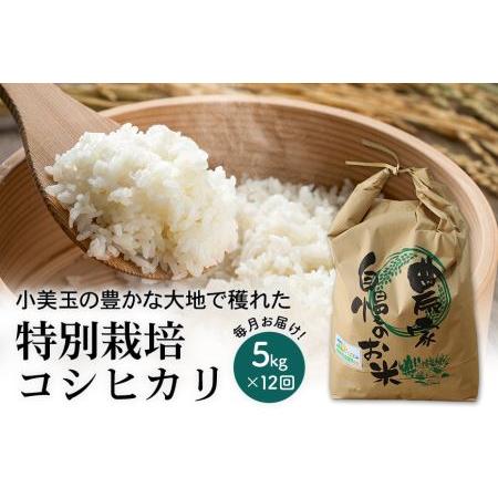 ふるさと納税 新米 コシヒカリ 5kg 12ヶ月定期便 こしひかり 5キロ 令和5年産 お米 特別栽培米 ご飯 白米 送料無料 減農薬 茨城県産米 茨城産.. 茨城県小美玉市