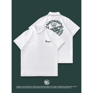 夏季潮牌男裝翻領T恤polo衫男士短袖2025新款美式保羅衫休閑體恤