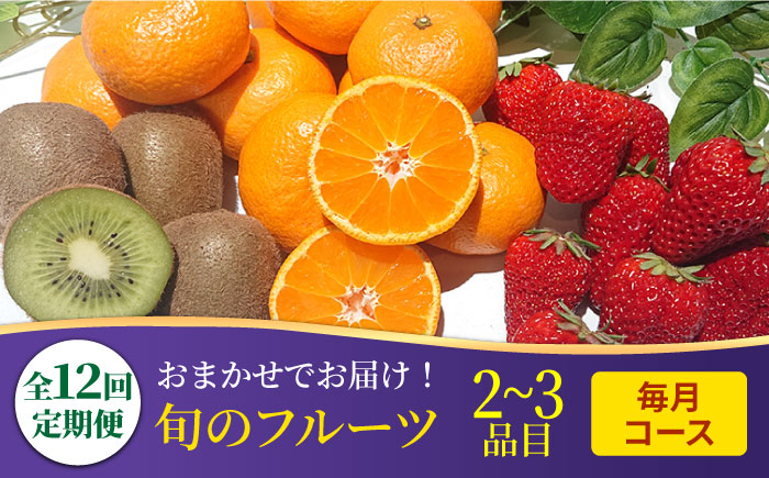 季節の果物 詰め合わせ フルーツセット 旬の果物をお任せで2〜3品目お届け (2〜3品目×12回)   果物 セット 南島原市   吉岡青果 [SCZ014]