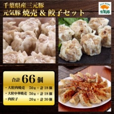 元気豚　焼売餃子セット(合計66個)