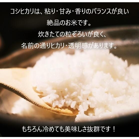 令和5年産 富山県朝日町産 こしひかり 5kg 白米 農家直送 送料無料