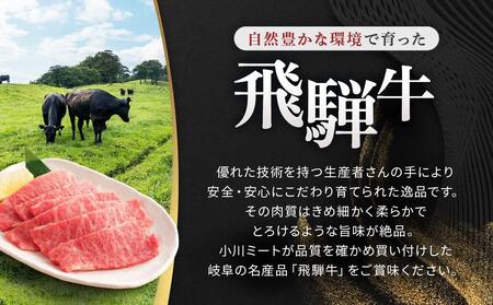 飛騨牛Ａ5 焼肉用 300ｇ ロース 又は 肩ロース肉 ｜国産 肉 牛肉 焼肉 和牛 黒毛和牛 グルメ A5等級 おすすめ AD114