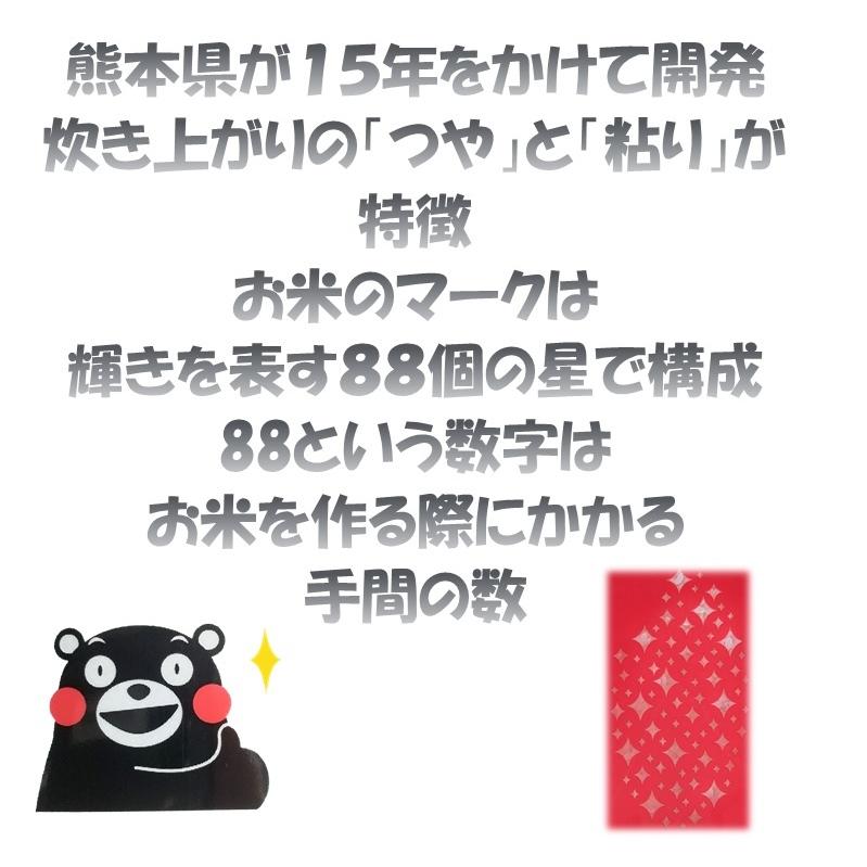 令和5年度産　くまさんの輝き 2kg　送料無料　熊本県産　お米　米　白米　新米　精白米　コシヒカリ　ヒノヒカリ