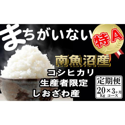 ふるさと納税 新潟県 南魚沼市 生産者限定 契約栽培　南魚沼しおざわ産コシヒカリ（20Kg×3ヶ月）