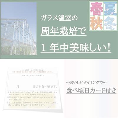 ふるさと納税 磐田市 クラウンメロン規格外大玉　2玉・6ヵ月毎月お届け全6回