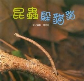 昆蟲躲貓貓[二手書_普通]