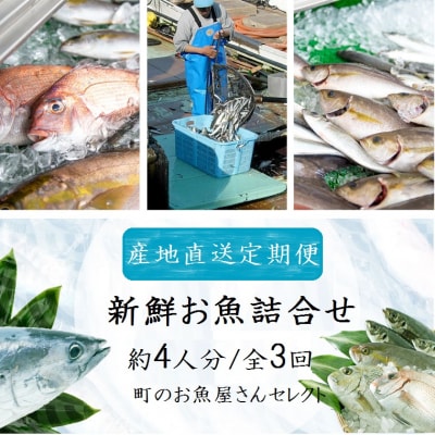 魚屋さんの選んだ新鮮お魚詰め合わせ(約4人分)　C09002