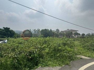 近紫南宮優質美農地｜南投縣竹山鎮中州段