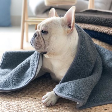 寵物毯 寵物狗毯子毛毯兩用睡覺羊羔絨地墊防著涼狗窩毛絨睡墊空調毯四季【摩可美家】