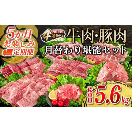 ふるさと納税 宮崎県 日南市 5か月 お楽しみ 定期便 牛肉 豚肉 月替わり 堪能 セット 総重量5.6kg 肉 牛 豚 国産_I25-23-A