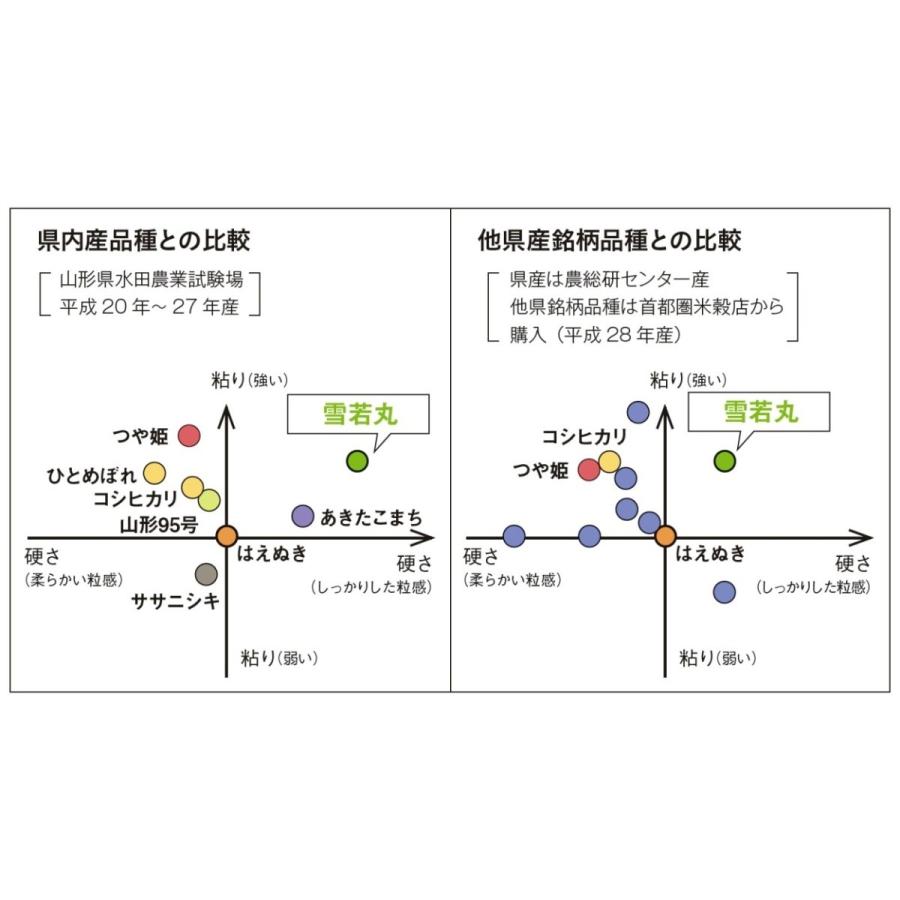 山形県産　特別栽培米　雪若丸　令和5年産　白米5kg　送料無料