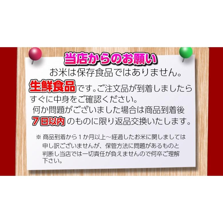 もち米 10kg お米 白米 山形県産 ヒメノモチ 5kg×２袋 4年産 送料無料