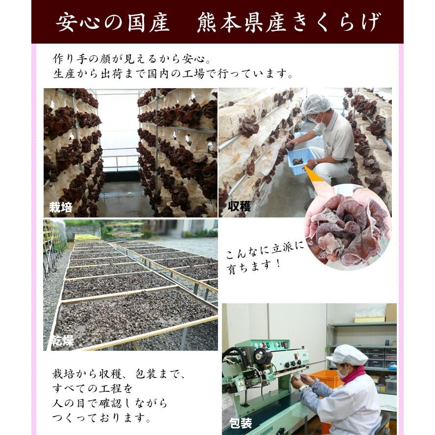 きくらげ 国産 500g 業務用 人吉 熊本 乾燥 ミニ ホール みみなば 送料無料 こぶりなきくらげ