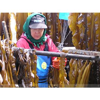 子持ち昆布 300g 味付き子持コンブ 数の子とこんぶのハイブリット 縁起物の珍味(ニシンの卵かずのこ)味付きカズノコ 子持こんぶ