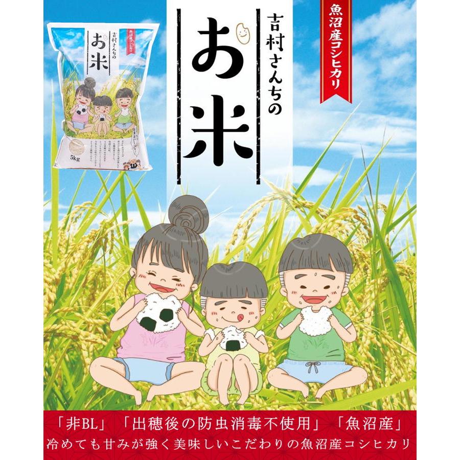 昔ながらの従来品種 令和5年産 新米 魚沼産コシヒカリ 吉村さんちのお米 無洗米 10kg （5kg×2袋） 非BL 産地直送 sea farm