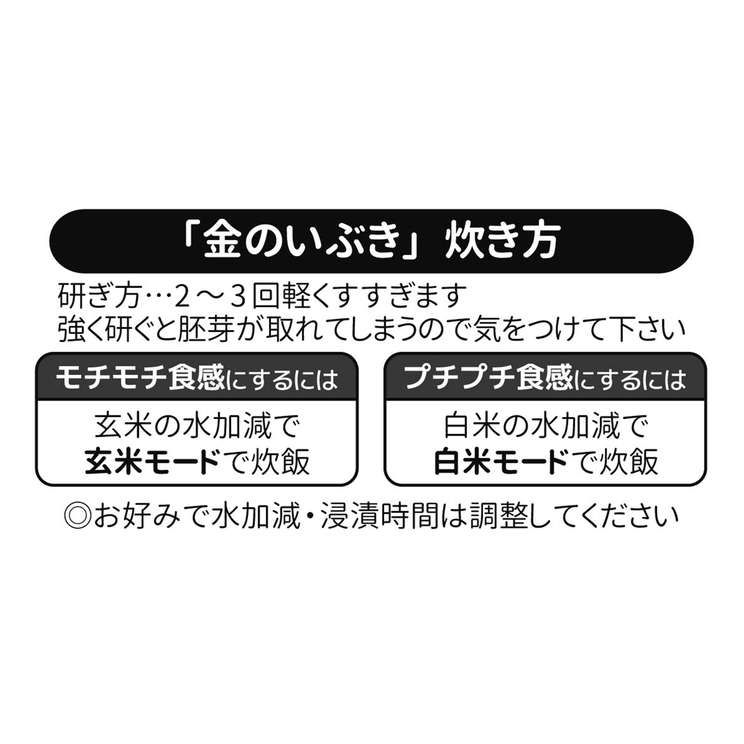 金のいぶき 玄米 宮城県 10kg 令和4年産 胚芽が3倍大きい玄米食専用米