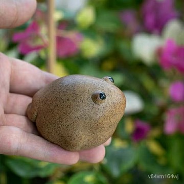 【優選好物】茶寵紫砂可愛招財金蟾創意粗陶小擺件擺設可養陶瓷茶玩茶道配件jioyh gUOa