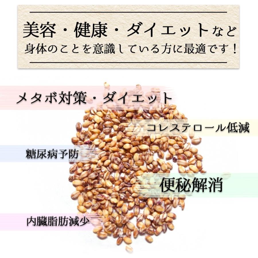 令和5年産 新麦 もち麦 ダイシモチ (950g×10袋) 岡山県産 お買い得パック 送料無料