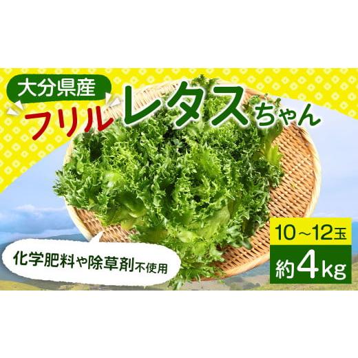 ふるさと納税 大分県 九重町 大分県産 フリルレタスちゃん 約4kg (10〜12玉) 高原野菜 レタス