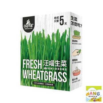 DogCatStar汪喵星球 貓草新鮮栽培盒65g 長超快 5天收成 貓草 貓零食 公司貨『🐶🐱Ayumi』【 寵物用品 狂殺 ★ 滿額現抵$480 】請注意 部分出貨時間較長