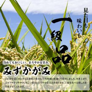 ふるさと納税 近江米「みずかがみ」 20kg 滋賀県守山市