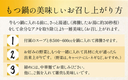 キャンプ飯 ぷるるんもつ鍋セット 中華麺付き！（約2～3人前）みそ味 越前のホルモン屋 国産牛   味噌 モツ鍋 小腸 ホルモン 鍋 国産 国産牛 牛ホルモン おつまみ 冷凍 お試しセット 人気 アウトドア キャンプ ソロキャンプ