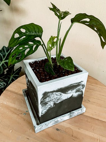 【手作水泥盆】 黑白渲染方盆/ 盆器/ 聖誕節禮物/ 室內植物