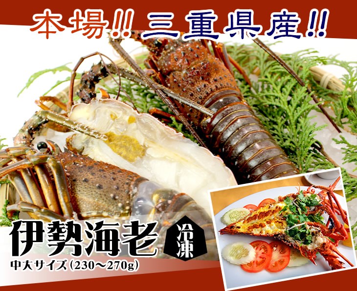 伊勢海老　冷凍（加熱用）　中大（230～270ｇ）　　[魚介類]　（活〆冷凍）