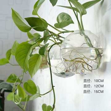 好物精選 創意水培玻璃花瓶懸掛式透明插花盆綠蘿壁掛小魚缸簡約現代小花瓶 壹灣寄出 壁掛花盆 水培盆栽 壁掛水培植物瓶