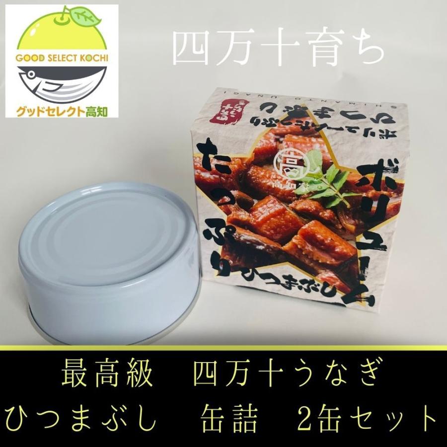 うなぎ 缶詰 四万十うなぎ ひつまぶし 2缶セット 国産