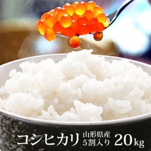 米 お米 20kg (10kg×2) ハイクラスブレンド米 安い 銘柄米 コシヒカリ 5割入り 選べる精米方法 (無洗米 白米)  20キロ 山形県産 送料無