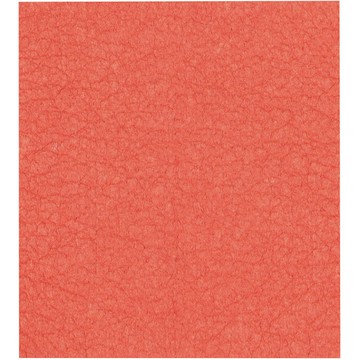 《NOW》瑞典環保抹布(磚紅) | 洗碗布 廚房抹布 清潔布 擦拭布 環保材質抹布