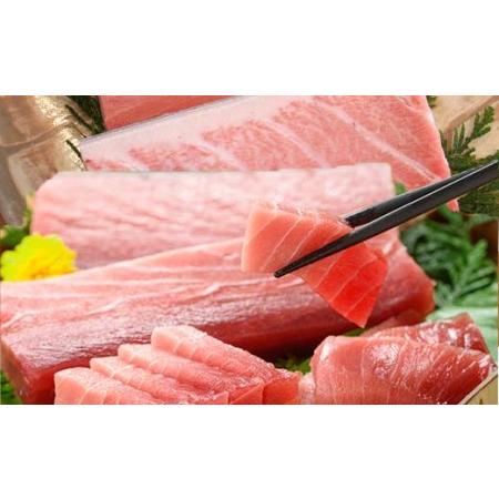 ふるさと納税 贈答用に！天然高級マグロ刺身 南マグロ刺身 本マグロ刺身 マグロ刺身 大トロ中トロ合計約1kg(木箱入り) 鹿児島県いちき串木野市