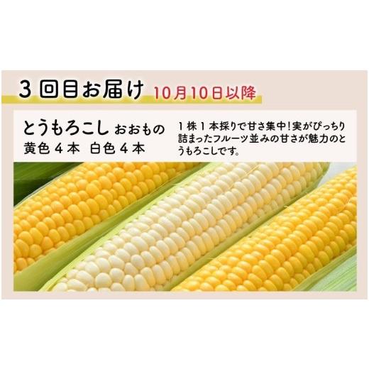 ふるさと納税 福井県 あわら市 ≪定期便／全3回≫フルーツ王国あわらのこだわり5品 農家直送 厳選品／ 期間限定 果物 フルーツ 青肉メロン 赤肉メ…