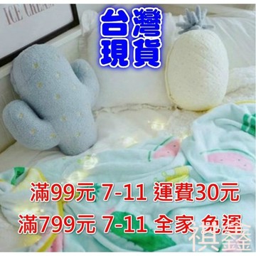 抱枕毯家居靠墊抱枕空調毯二合一 聖誕禮物 交換禮物 軟綿綿草莓仙人掌