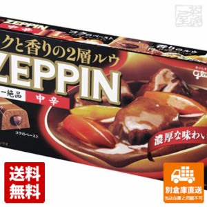 グリコ カレーZEPPIN 中辛 175g x10 セット 