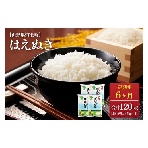 ふるさと納税 山形県 河北町 ※2024年2月中旬スタート※ はえぬき120kg（20kg×6ヶ月）定期便 山形県産