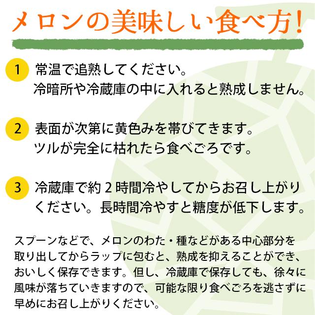 2024年 予約 メロン お中元 ギフト 送料無料 SHIROKUMA SWEET 北海道産 赤肉メロン 1玉入(約1.6kg 大玉 Lサイズ)   フルーツ