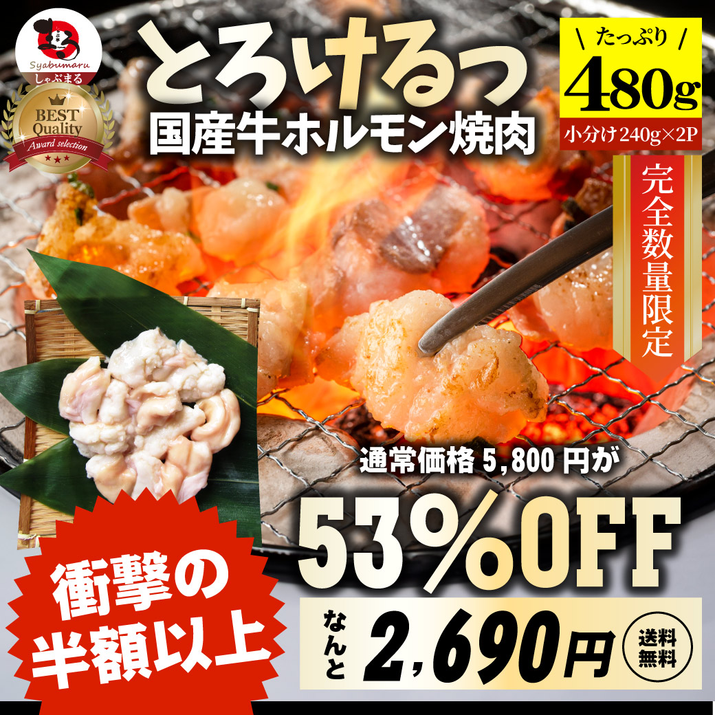 国産牛 ホルモン 480g (240g×2袋) ほるもん 小腸 焼肉用 お得 焼肉 やきにく アウトドア お家焼肉 レジャー 送料無料 冷凍