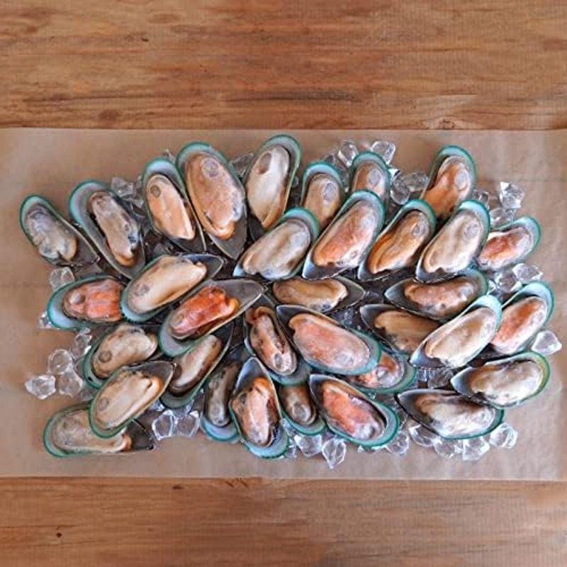 冷凍 ムール貝 ニュージーランド産 1kg Certified Organic Greenshell Mussels from New Ze