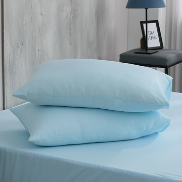 Ishur 伊舒爾 銀離子防水枕頭保潔墊 2入  46 x 76cm  淺藍色