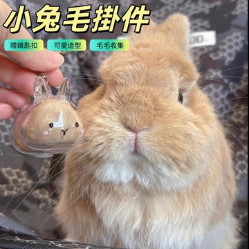 兔毛收納盒 毛髮收集器 兔兔吊飾 鑰匙扣吊飾 鑰匙扣 寵物紀念品 兔毛收集 兔毛吊飾 寵物紀念 臺灣紀念品 禮物 紀念品