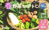 春野菜セットC 10品 以上 季節 旬 春 野菜 葉物 果菜 根菜 冷蔵 野菜室 ダイエット 食 栄養食 加工品 岩手県産 北上産 季節限定 稀少 数量限定 タラの うど こごみ うるい アスパラガス カラー 人参 菜花 ほうれん草 小松菜 チンゲン菜 長ねぎ レタス リーフレタス 水菜 ブロッコリー きゅうり ベビーリーフ