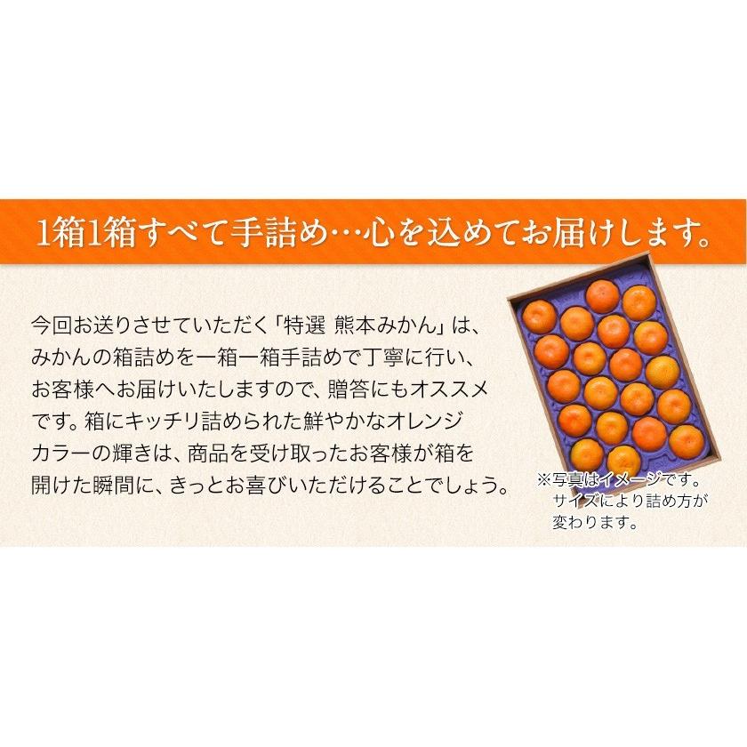 特選熊本みかん 約2kg (M-Sサイズ) みかんギフト 光センサー選果済み 贈答 果物  ギフト プレゼント 11月中旬-12月中旬頃に発送予定