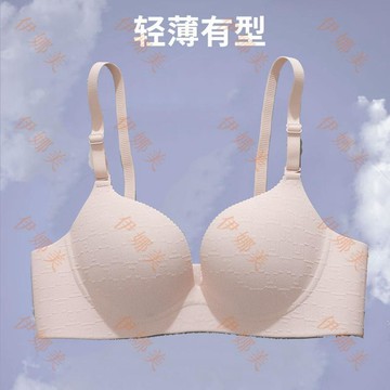 【臺灣出貨👙】性感舒適無痕提拉聚攏抱抱杯內衣女小胸軟支撐無鋼圈美背文胸【伊娜美】