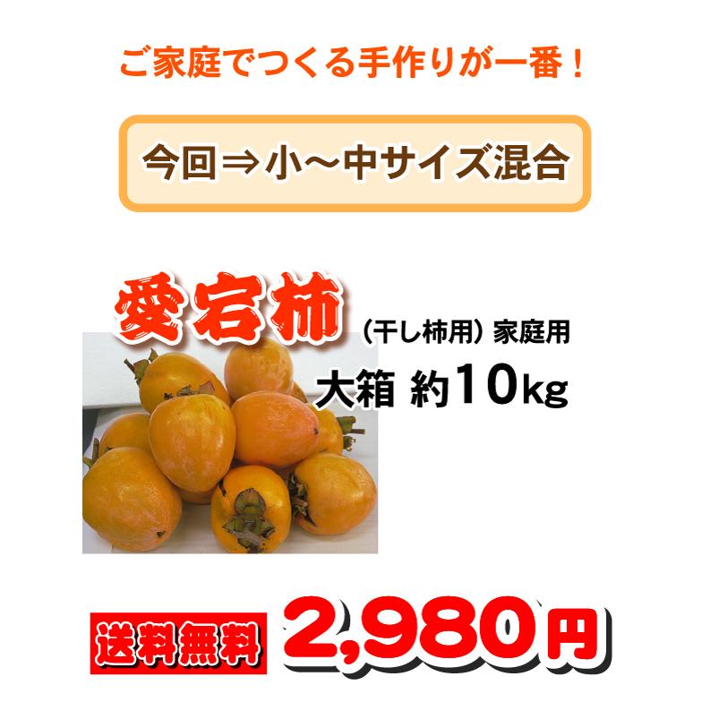 ★本日ポイント10倍★あたご柿　大箱10ｋｇで送料無料・愛宕柿（干し柿用）渋柿・大箱10ｋｇ・愛媛産・ご家庭用