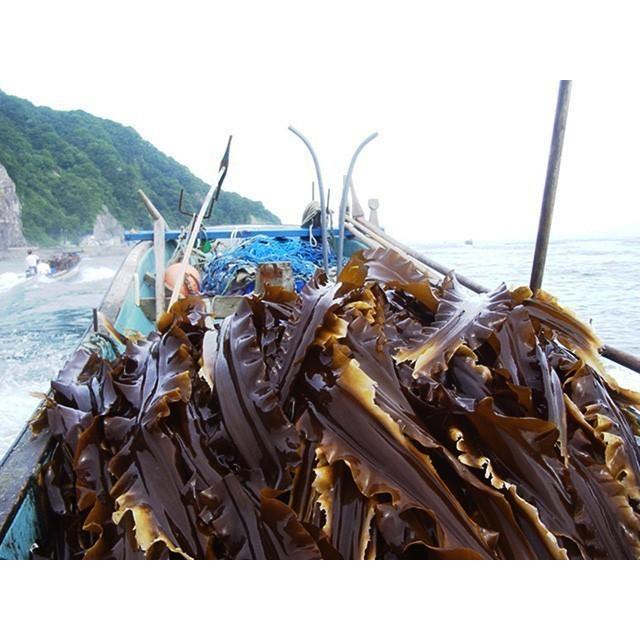 棹前早煮昆布 200g×6袋一番柔らかい時期に採取した完熟前の棹前昆布 人気の完熟前の昆布