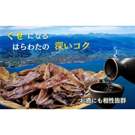 ふるさと納税 ほたるいか 素干し 100枚 おつまみ ハマオカ海の幸