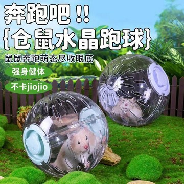 ⚡24H臺灣倉出⚡優選⭐倉鼠跑球解悶玩具靜音運動球金絲熊滾球滾輪19CM超大跑步球戶外球