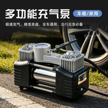 廠家供應車載充氣泵 220V國標插雙缸充氣泵 輪胎金屬充氣泵